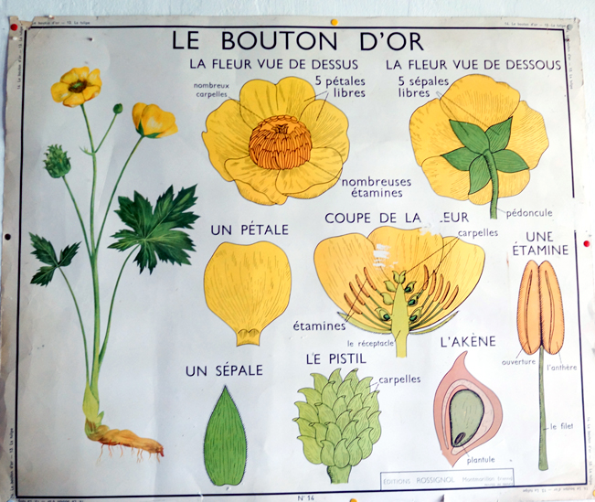 affiche école