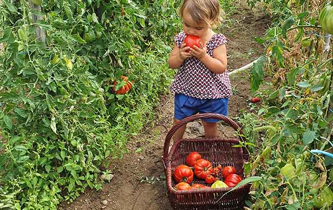 Boite à gouter personnalisée/boite à gouter maternelle/boite à gouter enfant /boite à gouter prénom/boite gouter école/goûter école/Charlotte -   France